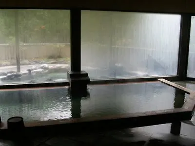 Hakone Ginyu酒店